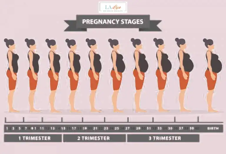 First Trimester (Weeks 1–12): Early Changes You Might Not Notice Yateley